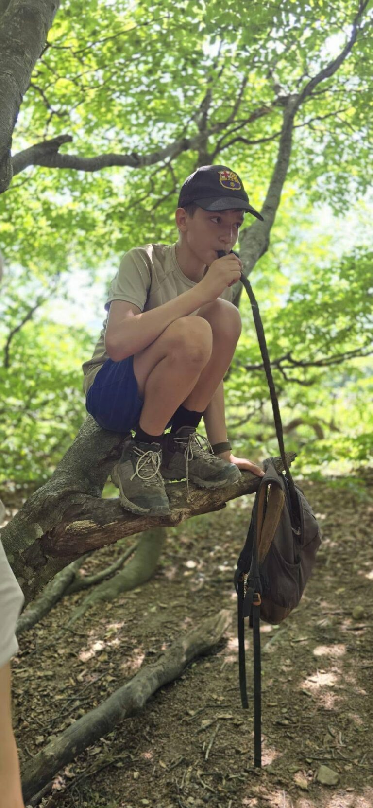 Dzień 1 Bieszczady 2026