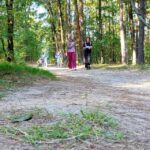 Geocaching Wilków