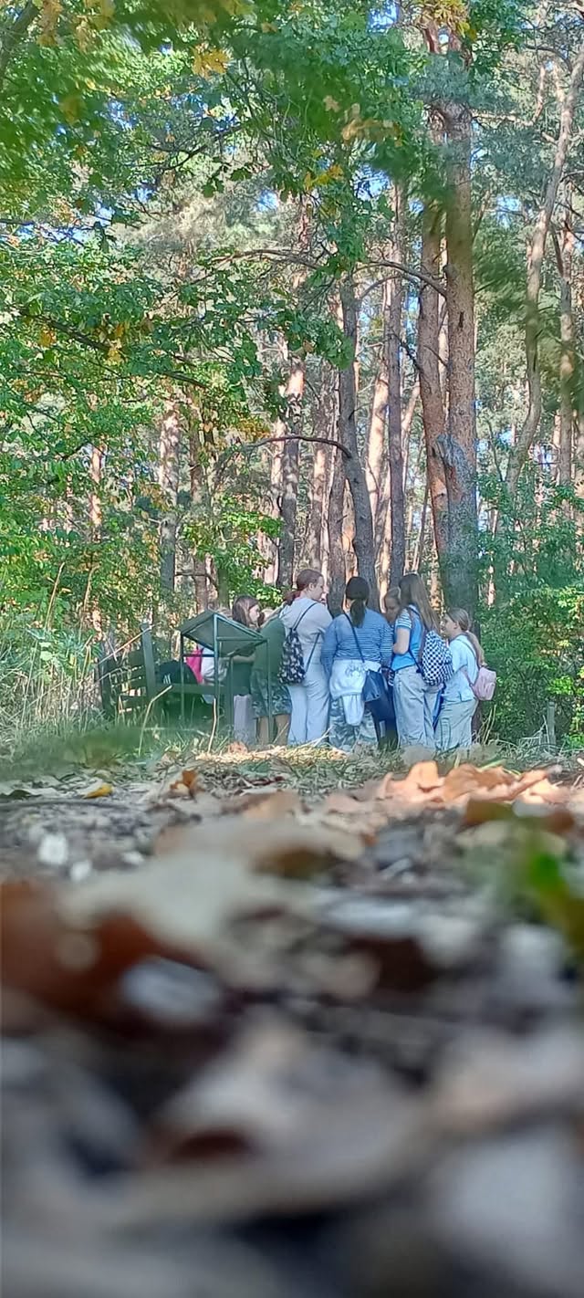Geocaching Wilków