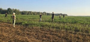 Geocaching Wilków