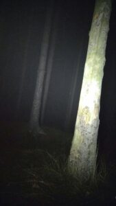 WYPRAWA WĘDROWNIKÓW W SOKOLIKI
