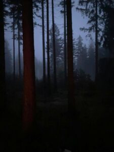 WYPRAWA WĘDROWNIKÓW W SOKOLIKI